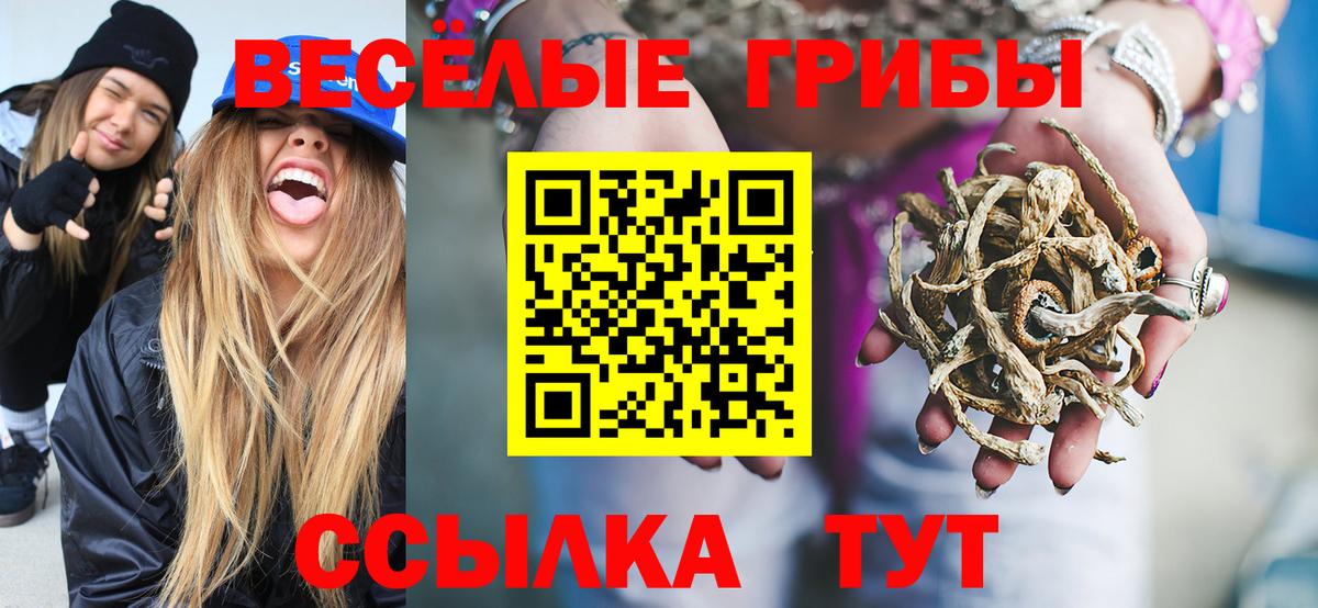 Тимашёвск  Псилоцибиновые грибы прущие грибы  Вход с VPN 