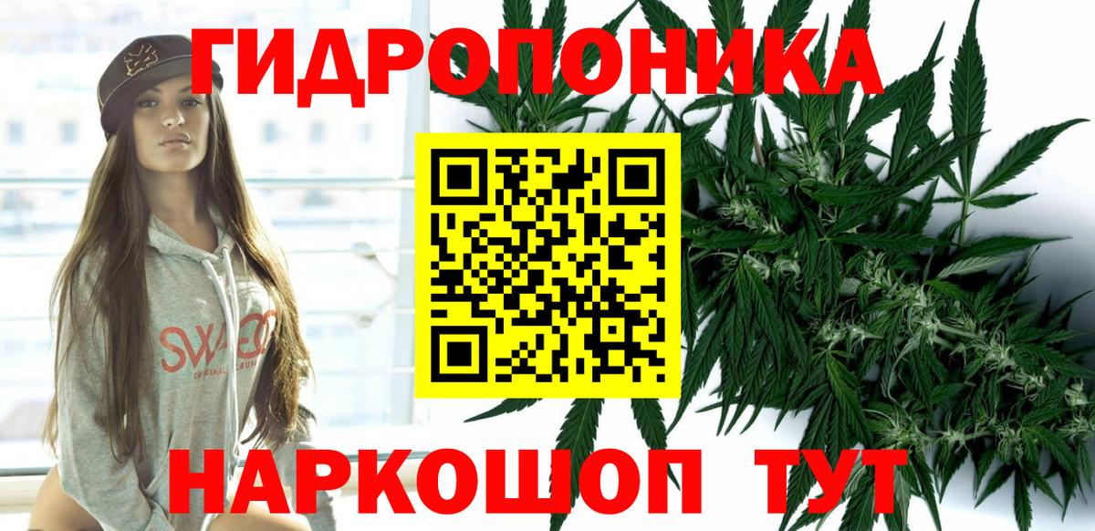 Бошки Шишки VHQ Тимашёвск